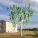 اختراع جديد: شجرة لتوليد الكهرباء.