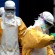 خبراء: الاستعانة بالناجين من إيبولا مهم لاحتواء الوباء.