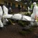 الصحة العالمية: عدد ضحايا الإيبولا في إفريقيا بلغ 7842.