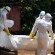 حالات إيبولا جديدة تكشف تزايد المرض للأسبوع الثاني.