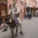 نيكولاس كيدج في المغرب لتصوير قصة حقيقية عن أسامة بن لادن