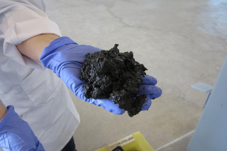 ابتكار بيئي: شركة تطور تقنية لتحويل البراز إلى طاقة