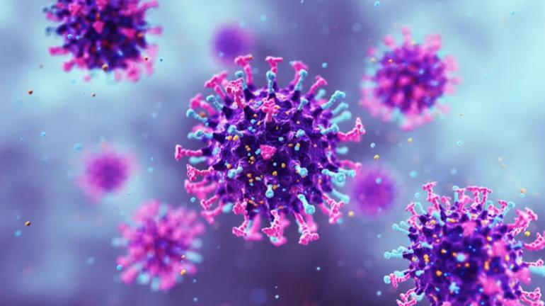 
                                    باحثون يدقون ناقوس الخطر: فيروسان حيوانيان قد يشكلان تهديدا وبائيا جديدا للبشر