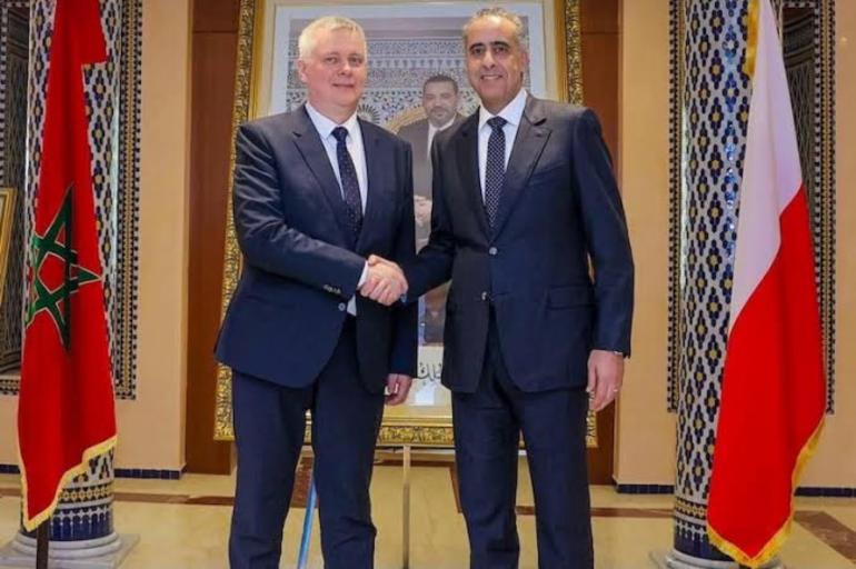 الحموشي يستقبل مسؤولاً أمنياً بولونياً لتعزيز التعاون في المجال الاستخباراتي