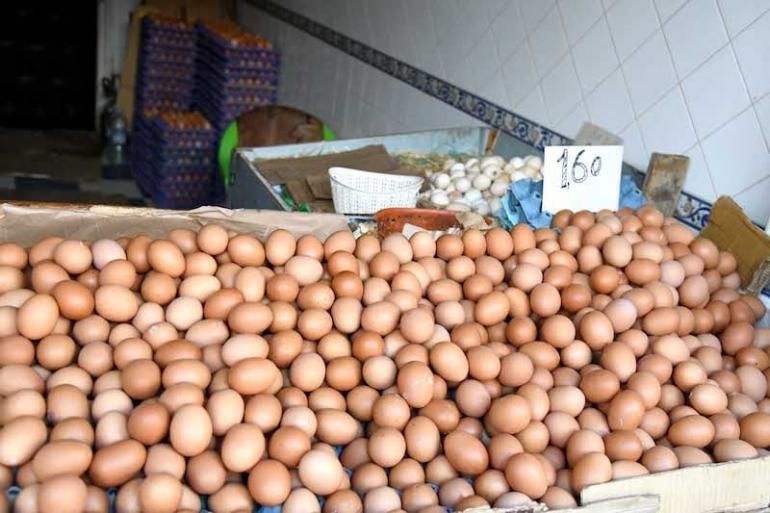 أسعار البيض تهوي في المغرب… فرحة للمستهلك وقلق في صفوف المربين