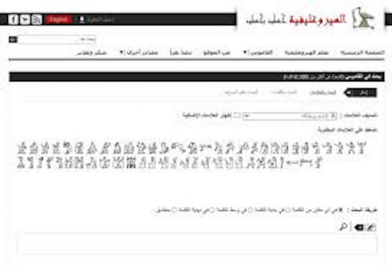 أرقام وحروف ومبادئ.. إطلاق موقع إلكتروني لتعليم اللغة الهروغليفية